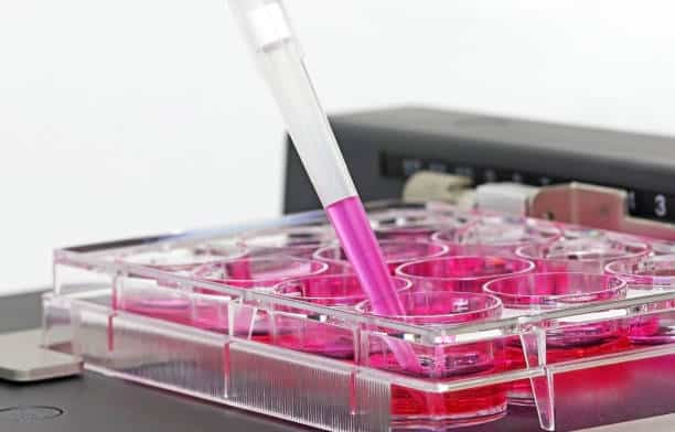 Japan Cell Culture Monitoring Biosensor Market Spotlight: Size, Share, and Growth Trends Explored through 2035