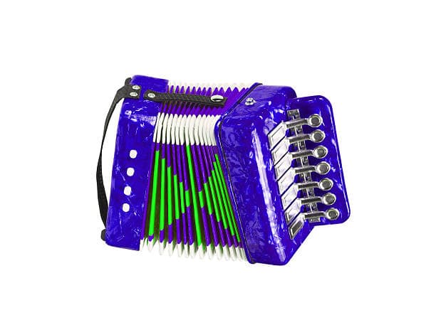China Melodeon Bellows Market Opportunities: Regional and Global Perspectives (2025-2035)