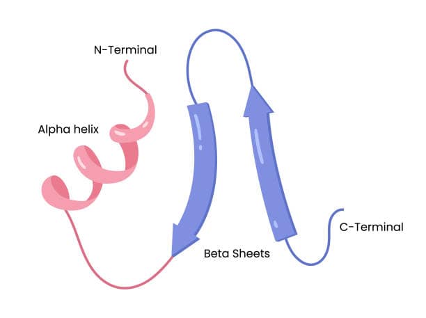 Europe Integrin Beta 3 Market Future Scope: Size, Share, and Growth Projections by 2035