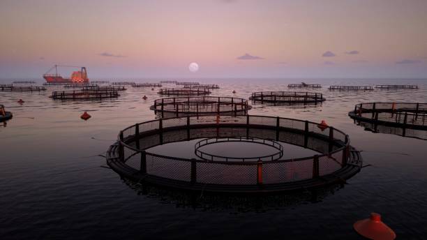 North America Aquaculture Market Future Scope: Size, Share, and Growth Projections by 2035