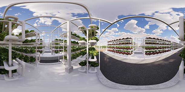 Japan Biotech Seeds Market Future Scope: Size, Share, and Growth Projections by 2035