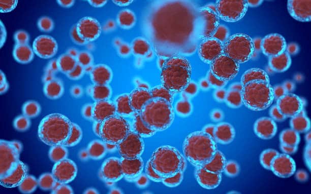 U.S. Cancer Stem Cells Market Pathways: Comprehensive Analysis of Size, Share, and Growth Trends until 2035