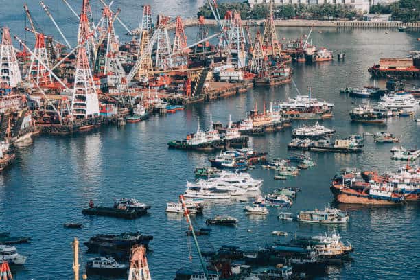 china Floating Crane Market Outlook 2025: Forecasting Growth in a Time of Economic and Policy Shifts