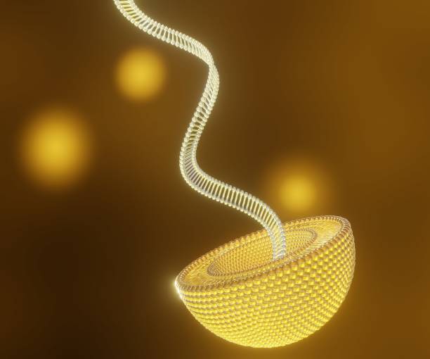 china Gold Nanorod Market Sector in Transition: Assessing Risk, Resilience, and Policy Disruption