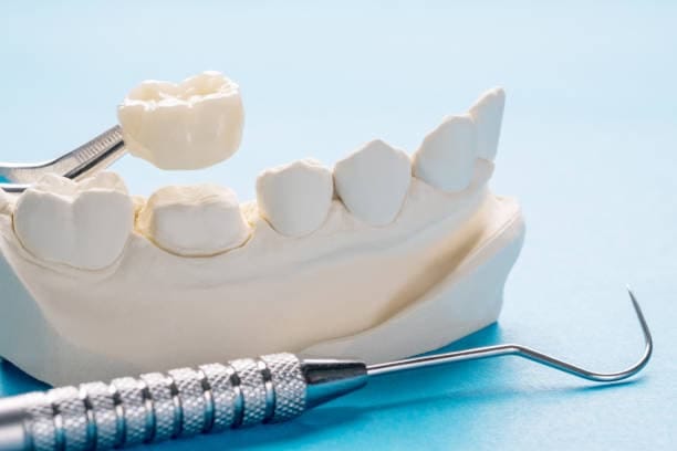 China Zirconia Market Industry Forecast: Navigating the Trade-Off Era Amid Global Economic Uncertainty