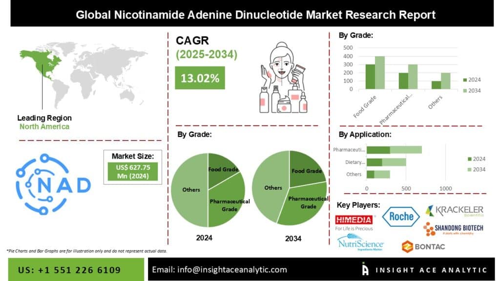 Coconut Sugar Market Exclusive Report on Current Trends and Future Insights