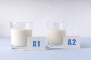 u61-A2-Dairy-Products-1