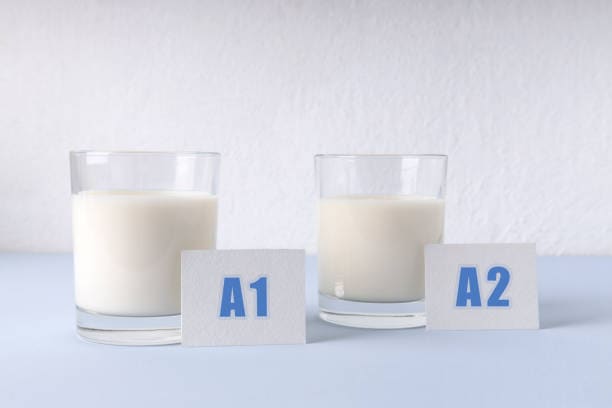 japan A2 Dairy Products Market in Flux: Recession Signals, Tariff Pressures & Strategic Forecasts