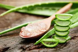 u61-Aloe-Vera-Extract