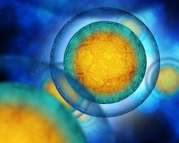 china Ovulation Microscope Market Sector Outlook: Beyond the Curve in a Climate of Slowdowns and Trade Barriers