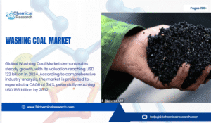 Washing Coal Market