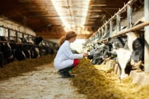 Farm-Animal-Healthcare