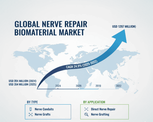 Global Nerve Repair Biomaterial Market to Reach USD 1,297 Million by 2032, Growing at a CAGR of 24.9%