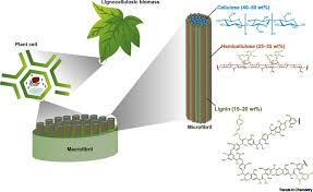 Lignin-Materials