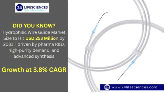 Hydrophilic Wire Guide Market Size to Hit USD 253 Million by 2031 at 3.8% CAGR