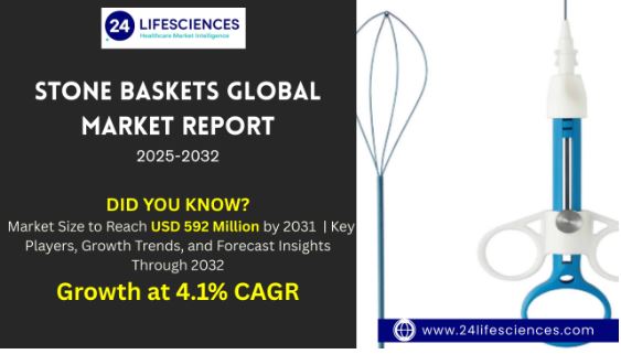 Stone Baskets Market Size to Reach USD 592 Million by 2031 at 4.1% CAGR | Forecast 2025–2032