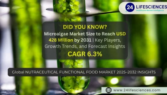 Microalgae Market Size to Reach USD 428 Million by 2031 at 6.3% CAGR