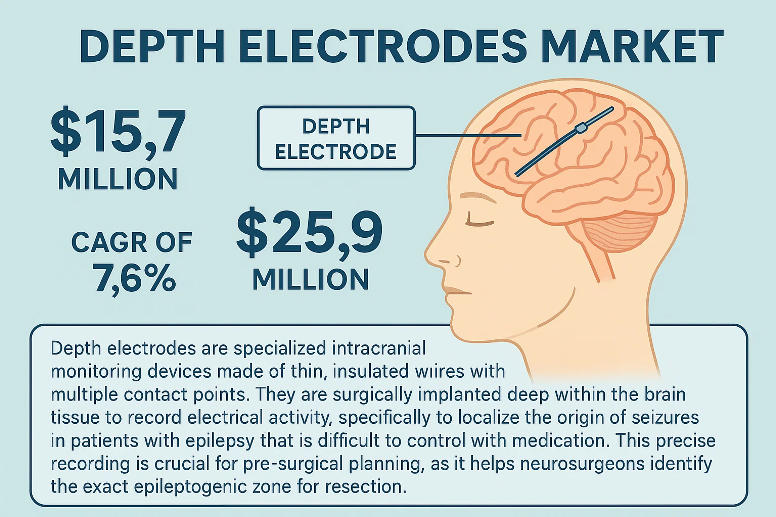 Top Trends and Key Players Shaping the Depth Electrodes Market Growth by 2032