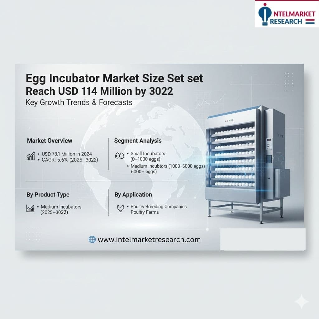 Egg Incubator Market Size Set to Reach USD 114 Million by 2032 Key Growth Trends & Forecasts