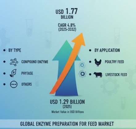 Enzyme Preparation for Feed Market Growth Analysis, Dynamics, Key Players and Innovations, Outlook and Forecast 2025-2032
