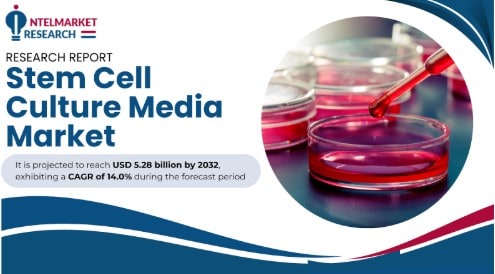 Global Stem Cell Culture Media Market Size to Surpass USD 5.28 Billion by 2031 | Key Drivers & Emerging Trends