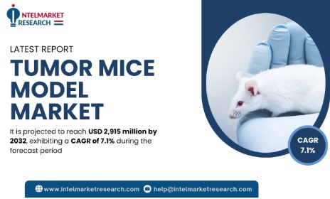 Global Tumor Mice Model Market Size to Surpass USD 2.9 Billion by 2031 | Key Trends and Insights