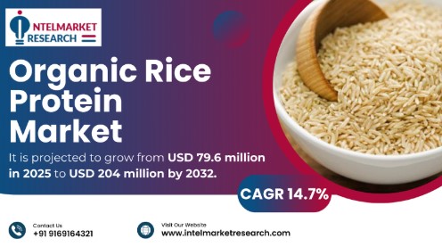 Organic Rice Protein Market Size Set to Surpass USD 229 Million by 2032 | Growth Factors & Forecasts