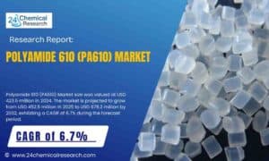 Polyamide-610-PA610-Market_11zon
