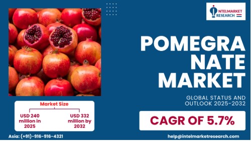 Pomegranate Market Size Set to Reach USD 332 Million by 2032 as Functional Foods Drive Growth