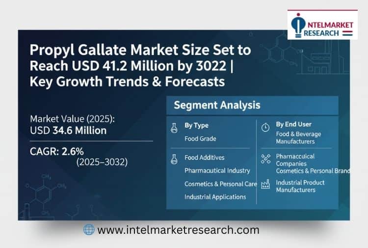 Propyl Gallate Market Size Set to Reach USD 41.2 Million by 2032 Key Growth Trends & Forecasts
