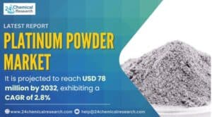 Global Platinum Powder Market