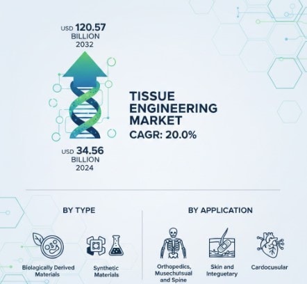 Tissue Engineering Market Growth Analysis, Dynamics, Key Players and Innovations, Outlook and Forecast 2025–2032