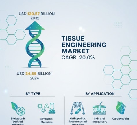 Tissue Engineering Market Growth Analysis, Dynamics, Key Players and Innovations, Outlook and Forecast 2025-2032
