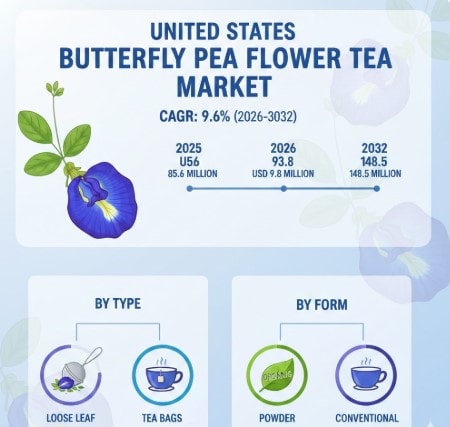 United States Butterfly Pea Flower Tea Market Growth Analysis, Dynamics, Key Players and Innovations, Outlook and Forecast 2025-2032