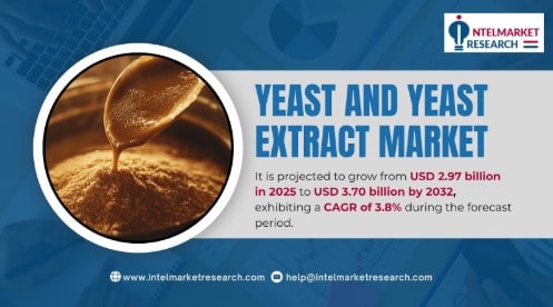 Global Yeast and Yeast Extract Market Size to Reach USD 3.70 Billion by 2032 | Key Trends & Growth Drivers