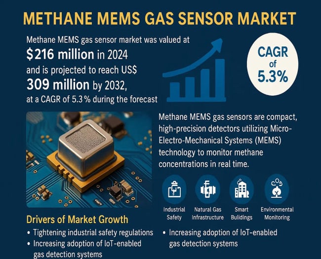 Methane MEMS Gas Sensor Market: Market Size and Top Trends
