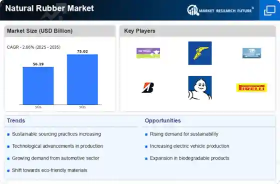 Natural Rubber Market to Reach USD 75.02 Billion by 2035: Growth Insights and Forecast