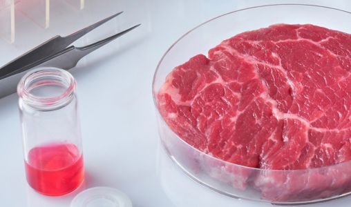 Global Cultured Meat Market is Projected to Reach USD 9.6 Billion by 2030 Market Overview