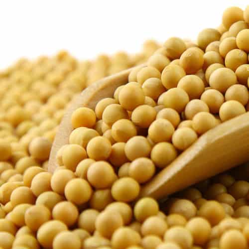 The Global Non-GMO Soybean Market is projected to reach a market size of USD 63.64 billion by the end of 2030