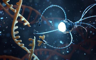 The Global Nano-Bioengineering Diagnostics for Rare Diseases Market is projected to reach a market size of USD 5.22 Billion by the end of 2030