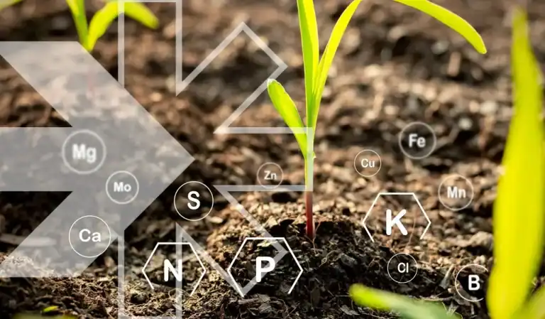 The Global Agricultural Biosolutions Market is projected to reach a market size of USD 3.93 Billion by the end of 2030.