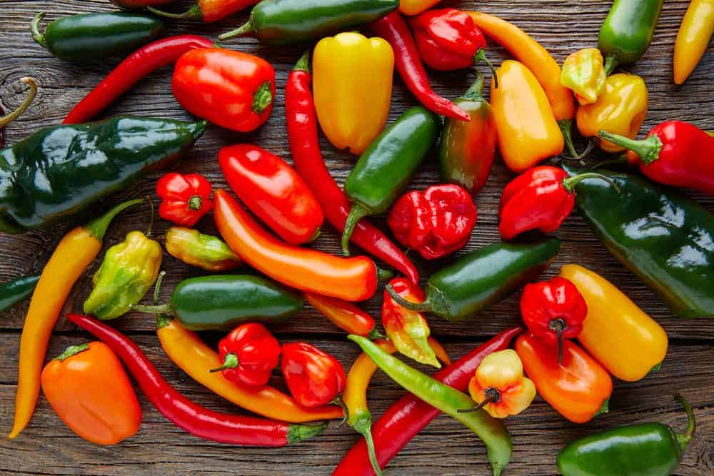The Global Chilies Market is projected to reach USD 25.25 billion by 2030