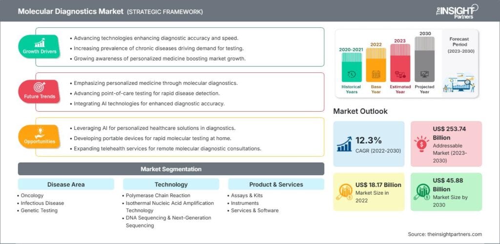 Molecular Diagnostics Market Outlook and Growth to 2030