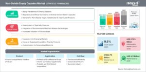 Non-Gelatin-Empty-Capsules-Market