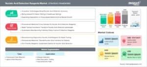 nucleic-acid-detection-reagents-market-strategic-framework