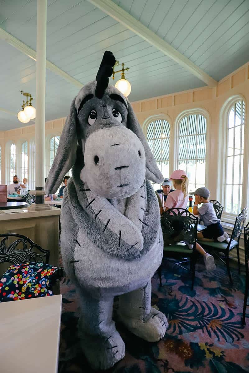 Eeyore poses for a photo with his arms clasped in front of him.