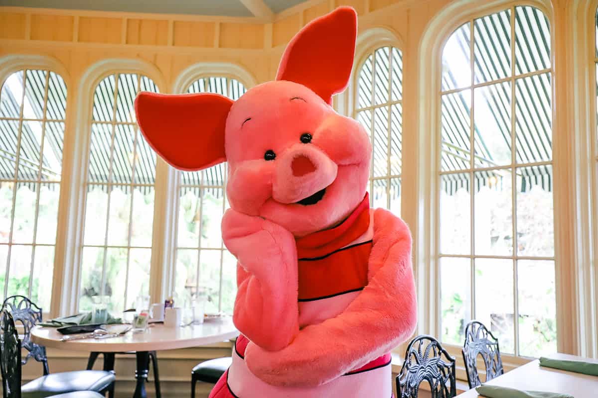 Piglet at Crystal Palace with his head tilted