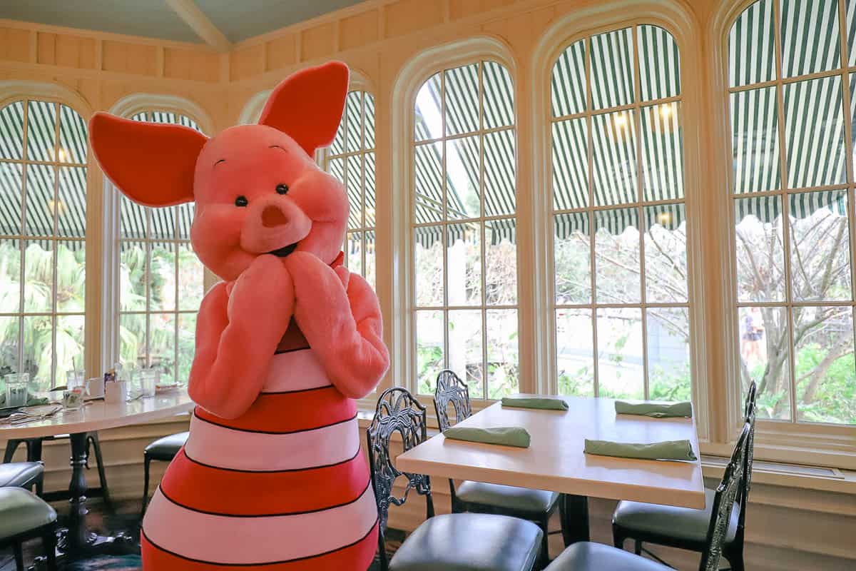 Piglet poses for a photo at Crystal Palace