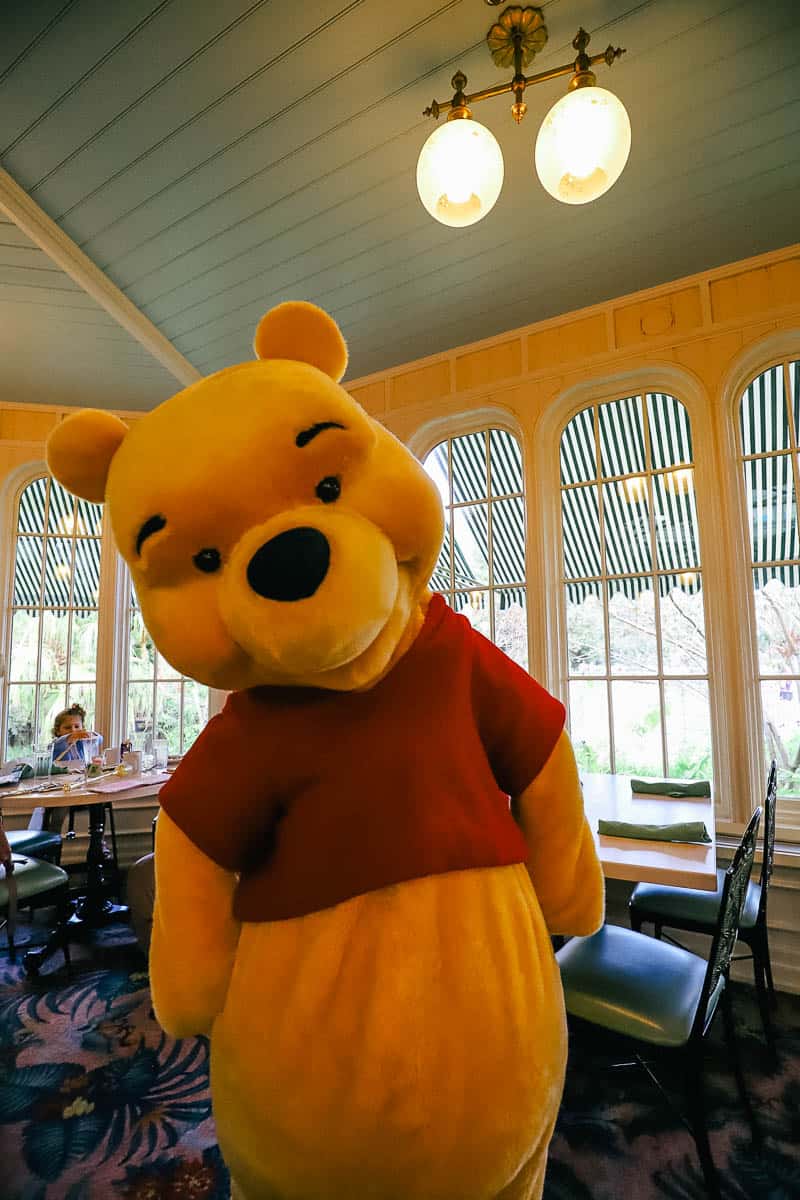 Winnie the Pooh poses for a photo