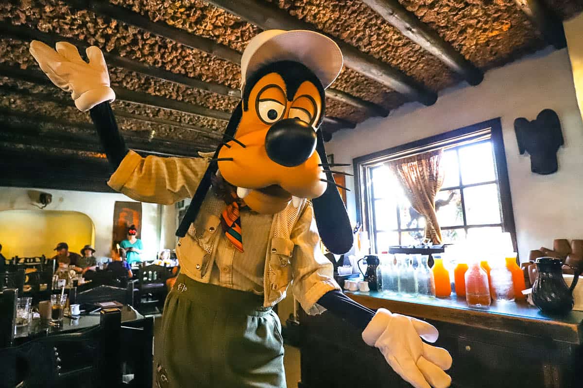 Goofy poses for the camera in safari suit. 